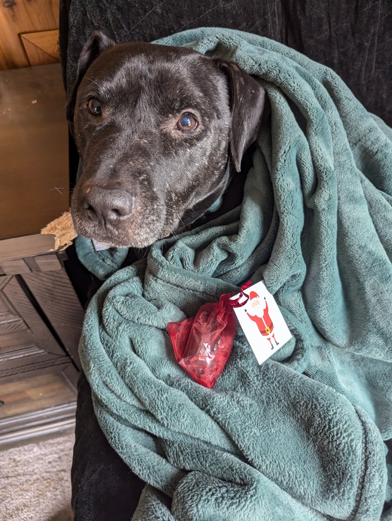 Got more than one on your List? Christmas Coal Double Pack, wrapped in delicate red organza with a cute card!  $19.99 with Free Shipping!  Make sure your Naughty List gets what they deserve this year!